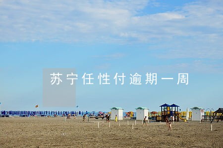 苏宁任性付逾期一周 苏宁任性付逾期一周