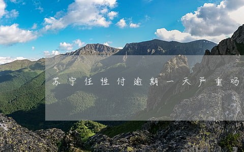苏宁任性付逾期一天严重吗 苏宁任性付逾期一天严重吗