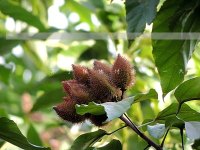 苏宁任性付逾期一天会打联系人吗 苏宁任性付逾期一天会打联系人吗