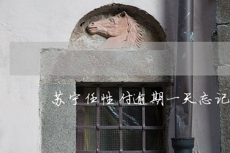 苏宁任性付逾期一天忘记还了 苏宁任性付逾期一天忘记还了