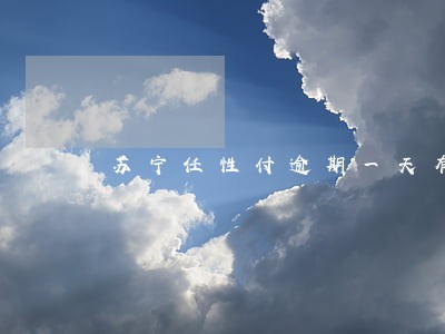 苏宁任性付逾期一天有事吗 苏宁任性付逾期一天有事吗