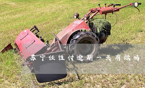 苏宁任性付逾期一天有效吗 苏宁任性付逾期一天有效吗