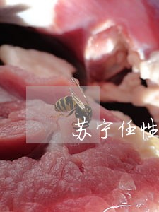 苏宁任性付逾期一天没有违约金 苏宁任性付逾期一天没有违约金