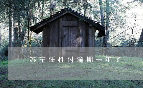苏宁任性付逾期一年了 苏宁任性付逾期一年了