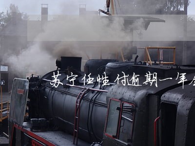 苏宁任性付逾期一年会不会坐牢 苏宁任性付逾期一年会不会坐牢