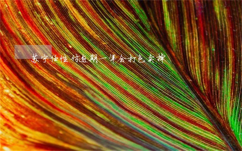 苏宁任性付逾期一年会打包卖掉 苏宁任性付逾期一年会打包卖掉