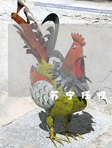 苏宁任性付逾期三天 苏宁任性付逾期三天