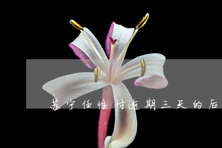 苏宁任性付逾期三天的后果