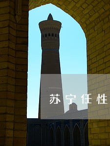 苏宁任性付逾期上不上征信 苏宁任性付逾期上不上征信