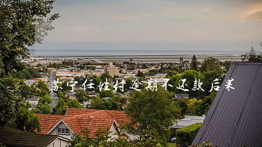 苏宁任性付逾期不还款后果 苏宁任性付逾期不还款后果
