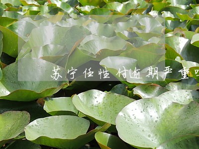 苏宁任性付逾期严重吗 苏宁任性付逾期严重吗