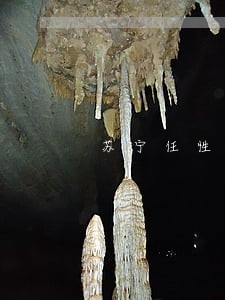苏宁任性付逾期九天 苏宁任性付逾期九天