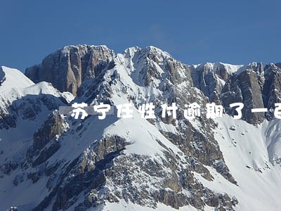 苏宁任性付逾期了一百多天 苏宁任性付逾期了一百多天