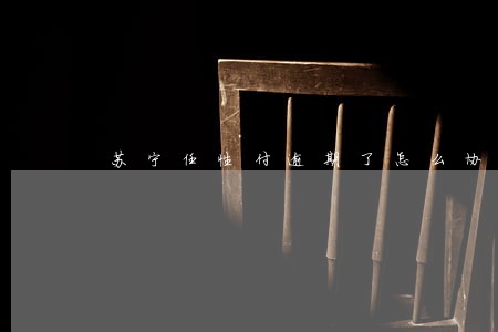 苏宁任性付逾期了怎么协商 苏宁任性付逾期了怎么协商