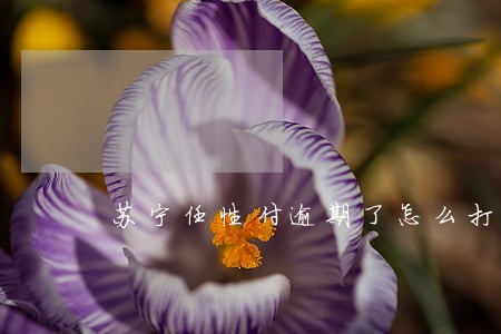苏宁任性付逾期了怎么打电话 苏宁任性付逾期了怎么打电话