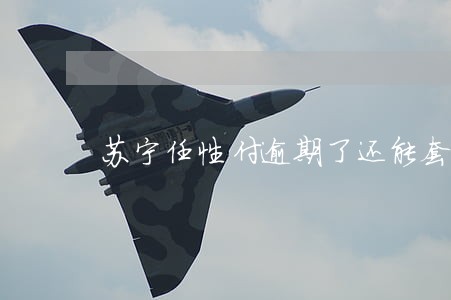 苏宁任性付逾期了还能套出来吗 苏宁任性付逾期了还能套出来吗