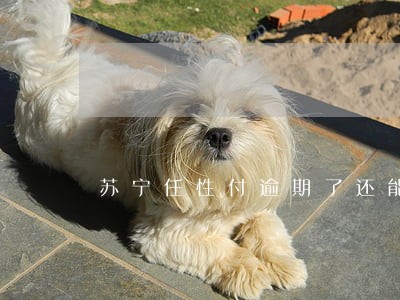 苏宁任性付逾期了还能用吗 苏宁任性付逾期了还能用吗