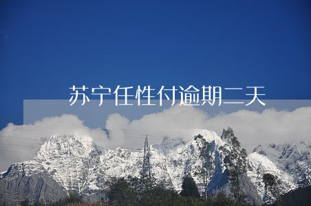 苏宁任性付逾期二天 苏宁任性付逾期二天