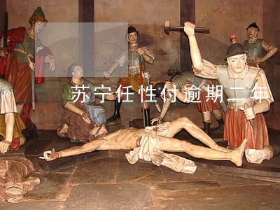 苏宁任性付逾期二年 苏宁任性付逾期二年