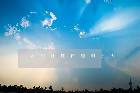 苏宁任性付逾期五天 苏宁任性付逾期五天