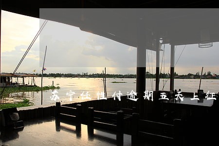 苏宁任性付逾期五天上征信吗 苏宁任性付逾期五天上征信吗