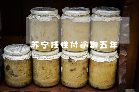 苏宁任性付逾期五年 苏宁任性付逾期五年