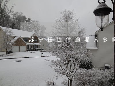 苏宁任性付逾期人多吗 苏宁任性付逾期人多吗