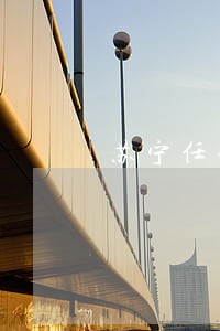 苏宁任性付逾期付什么法律责任 苏宁任性付逾期付什么法律责任