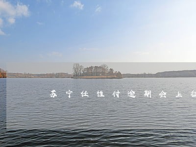 苏宁任性付逾期会上征信吗 苏宁任性付逾期会上征信吗