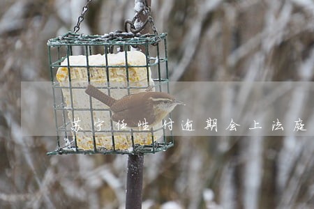 苏宁任性付逾期会上法庭吗 苏宁任性付逾期会上法庭吗