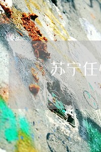 苏宁任性付逾期会上门催收吗 苏宁任性付逾期会上门催收吗