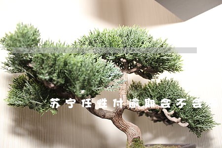 苏宁任性付逾期会不会爆通讯录 苏宁任性付逾期会不会爆通讯录