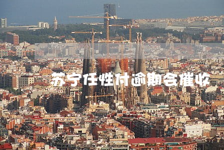 苏宁任性付逾期会催收 苏宁任性付逾期会催收