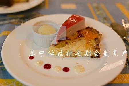 苏宁任性付逾期会变黑户吗 苏宁任性付逾期会变黑户吗