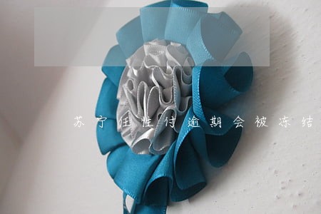 苏宁任性付逾期会被冻结吗 苏宁任性付逾期会被冻结吗