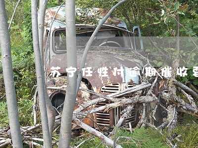 苏宁任性付逾期催收要当地核实 苏宁任性付逾期催收要当地核实