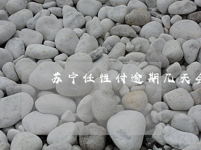 苏宁任性付逾期几天会打电话吗 苏宁任性付逾期几天会打电话吗