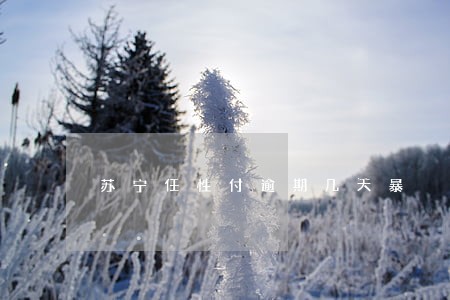 苏宁任性付逾期几天暴