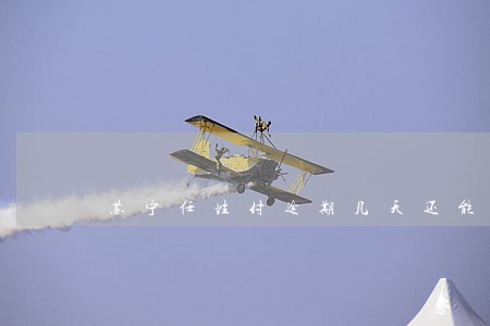 苏宁任性付逾期几天还能用吗 苏宁任性付逾期几天还能用吗