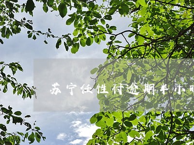 苏宁任性付逾期半小时 苏宁任性付逾期半小时
