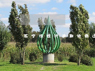 苏宁任性付逾期协商还本金 苏宁任性付逾期协商还本金