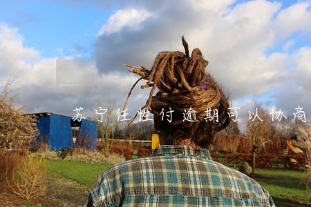 苏宁任性付逾期可以协商吗 苏宁任性付逾期可以协商吗