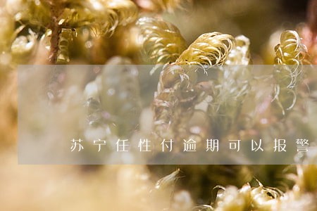 苏宁任性付逾期可以报警吗 苏宁任性付逾期可以报警吗