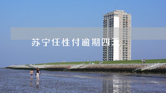 苏宁任性付逾期四天 苏宁任性付逾期四天