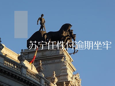 苏宁任性付逾期坐牢 苏宁任性付逾期坐牢