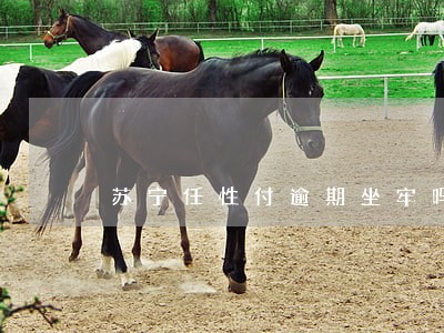 苏宁任性付逾期坐牢吗 苏宁任性付逾期坐牢吗
