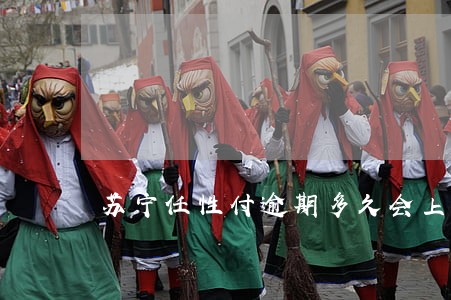 苏宁任性付逾期多久会上诉 苏宁任性付逾期多久会上诉