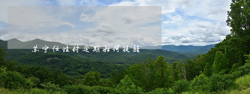 苏宁任性付逾期如何提醒