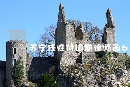 苏宁任性付逾期律师函6 苏宁任性付逾期律师函6