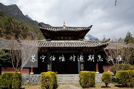苏宁任性付逾期怎么催 苏宁任性付逾期怎么催